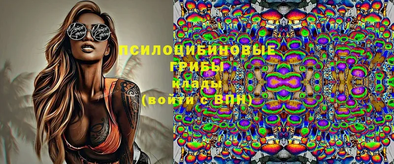 Псилоцибиновые грибы Psilocybine cubensis  как найти закладки  Верхняя Пышма 